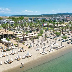 Ayvalık Sea Ayvalı